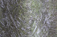 Kelmscott fibreglass roof work